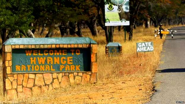 Hwange National Park, the largest park in Zimbabwe, birthplace of Cecil and home to his cubs and Jericho. REUTERS