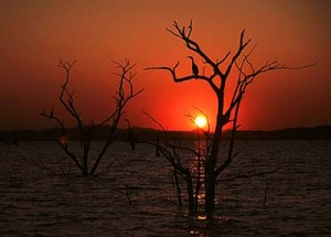 Kariba sunset and the iconic dead trees 