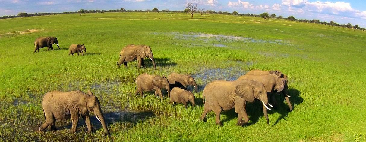 Imvelo Safaris offer customizable tours in Hwange, Matobo Hills and other major attraction. Photo Credit: Imvelo Safaris