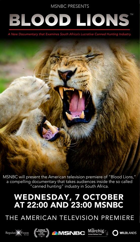Blood Lions is set to premier in North America on October 3, 2015, MSNBC at 20:00 EST
