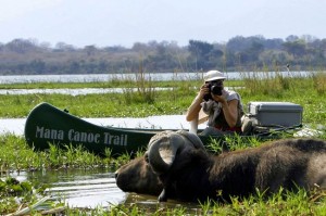 Up-close and personal with animals. Picture Credit: Mana Canoe Trails