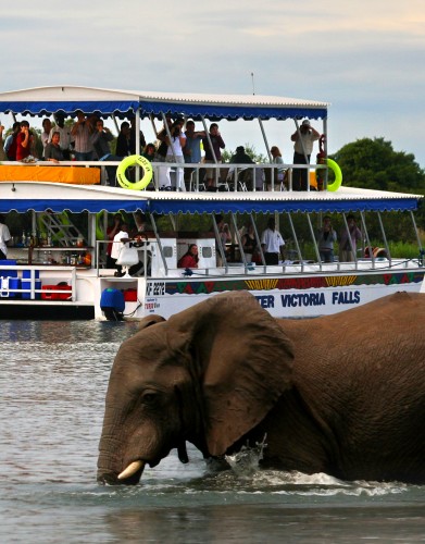 Cruise safaris offer different opportunities such as photographic, bird-watching and fishing. Picture Credit: Shearwater